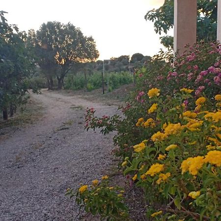 Agriturismo Muristene Villa Dorgali Ngoại thất bức ảnh