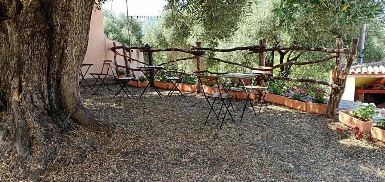 Agriturismo Muristene Villa Dorgali Ngoại thất bức ảnh