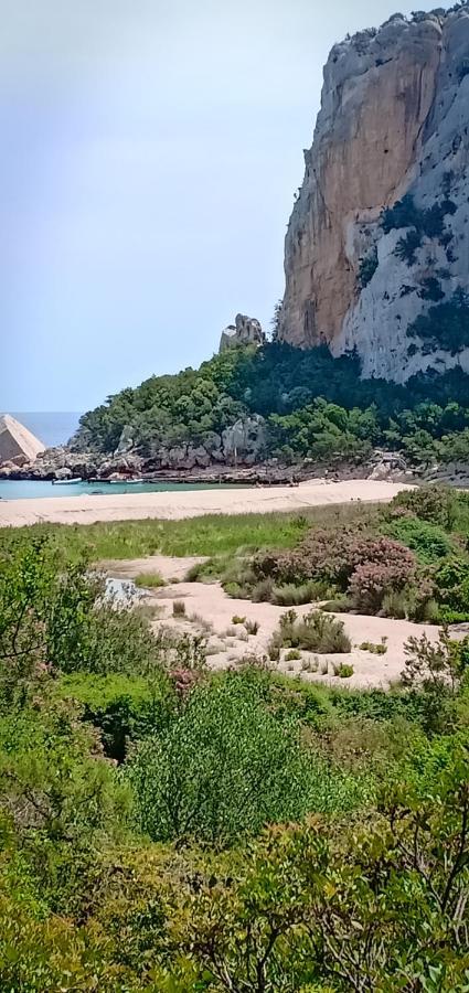 Agriturismo Muristene Villa Dorgali Ngoại thất bức ảnh