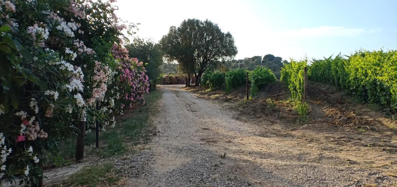 Agriturismo Muristene Villa Dorgali Ngoại thất bức ảnh