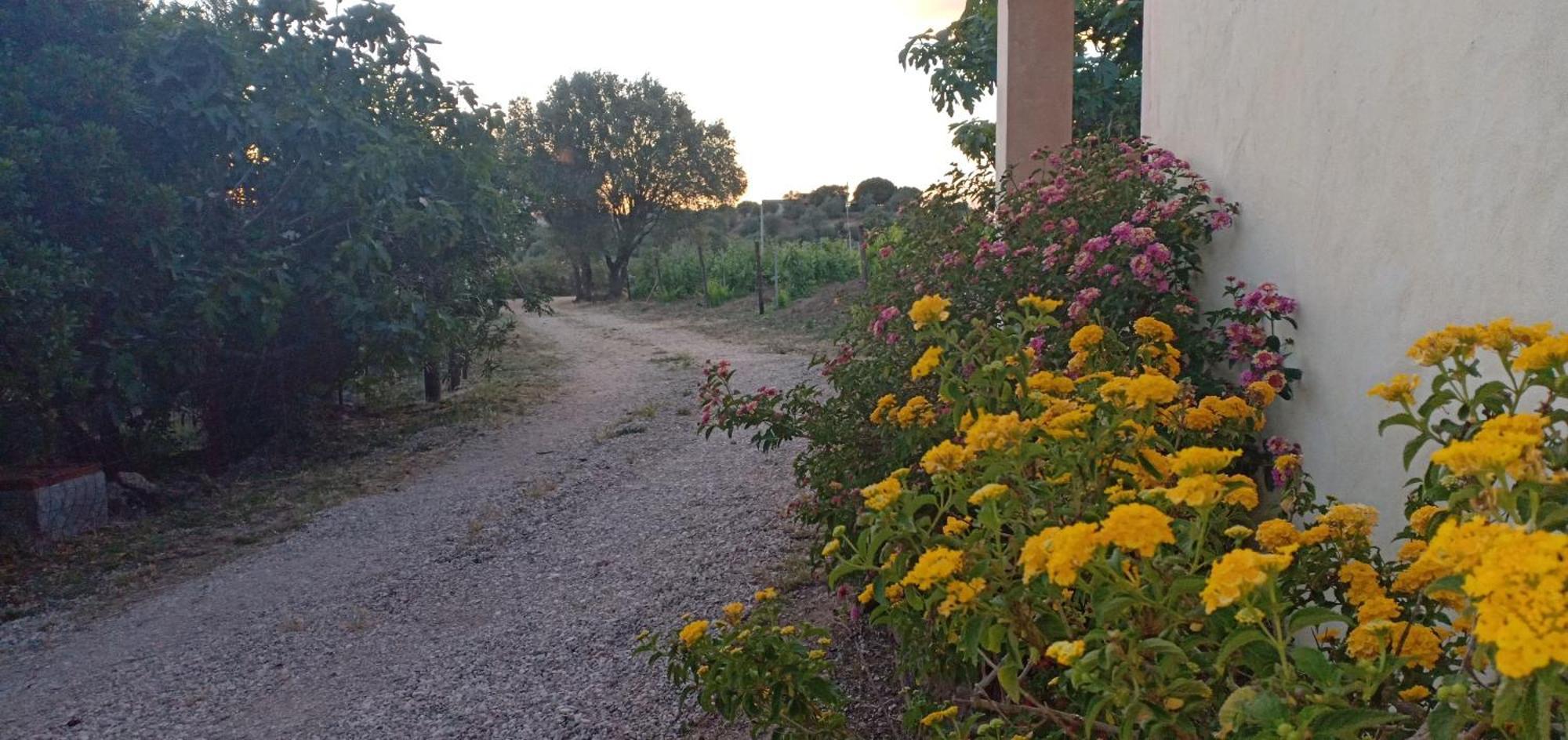 Agriturismo Muristene Villa Dorgali Ngoại thất bức ảnh