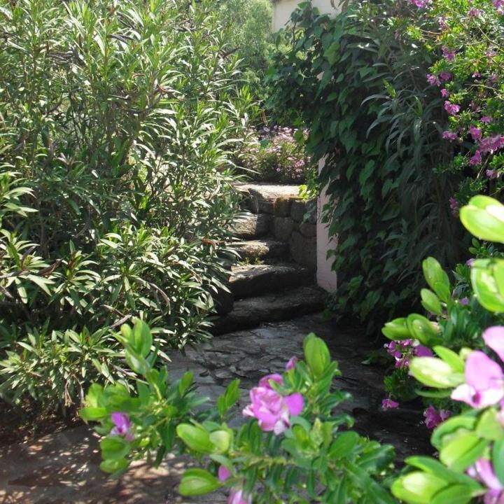 Agriturismo Muristene Villa Dorgali Ngoại thất bức ảnh