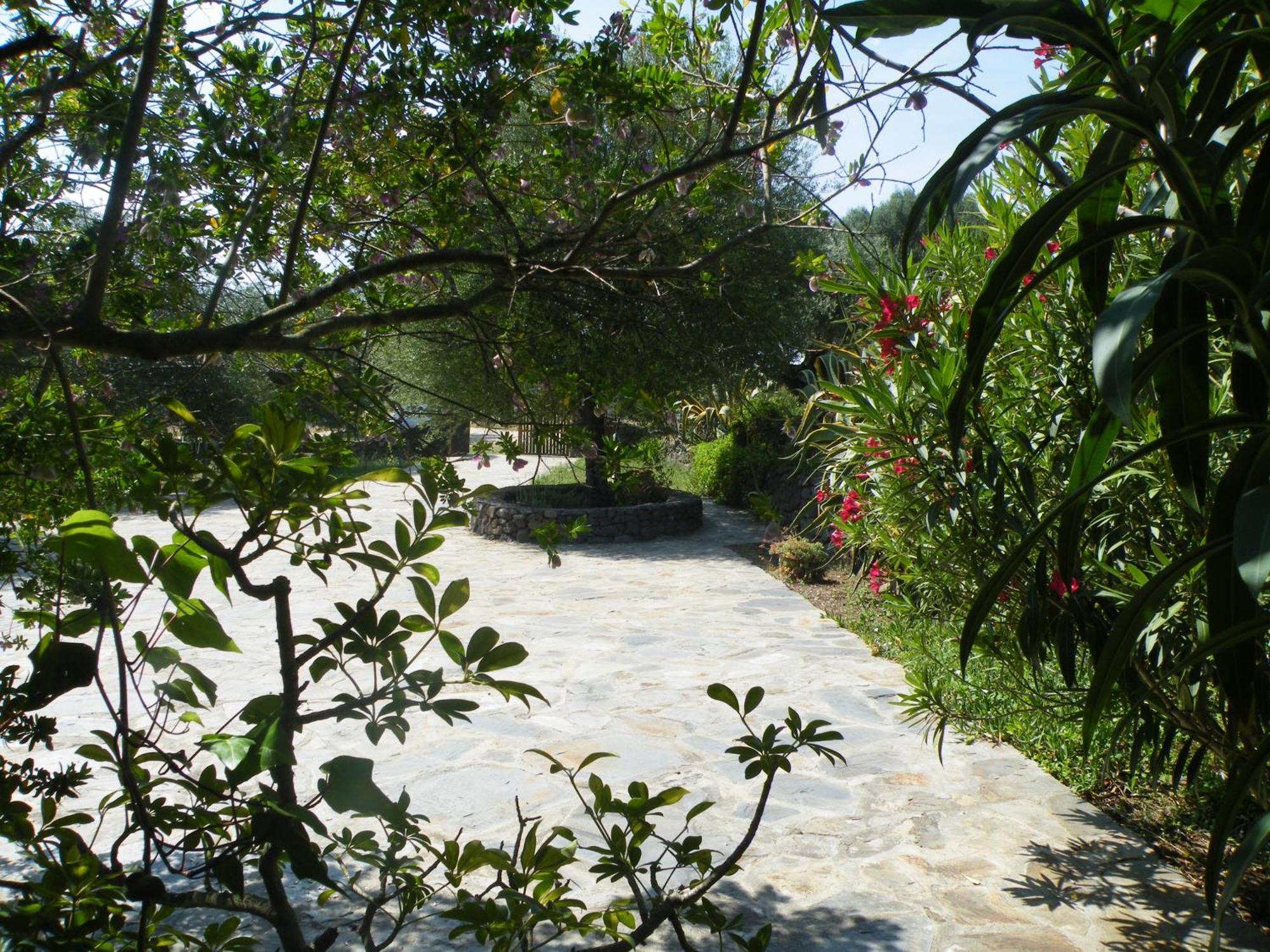 Agriturismo Muristene Villa Dorgali Ngoại thất bức ảnh